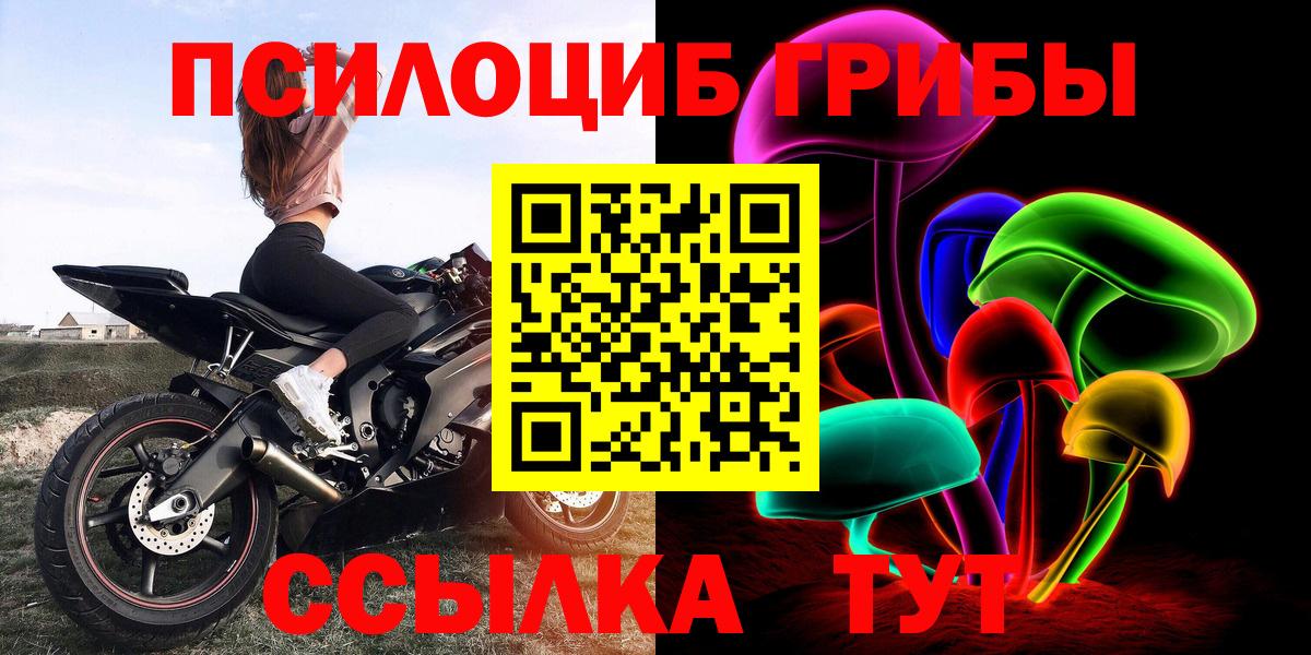 Галлюциногенные грибы Psilocybe Туймазы