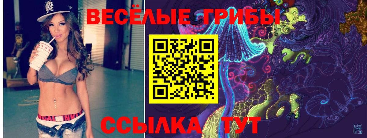 Туймазы  Галлюциногенные грибы MAGIC MUSHROOMS  Вход с VPN 